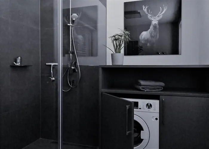 Bergroof Apartament *